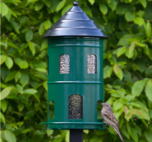 Gigantmatare groen (voederhuisje XL) - Afbeelding 2