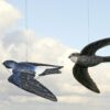 DecoBird Huiszwaluw - Afbeelding 2