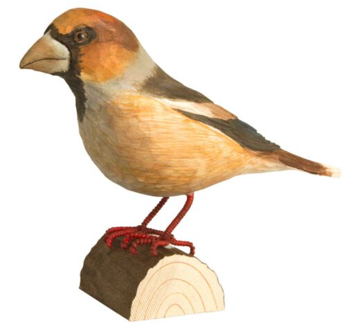 DecoBird Appelvink