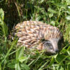 Houten Egel - Afbeelding 2