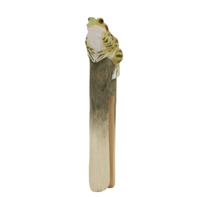 Houten wasknijper Kikker
