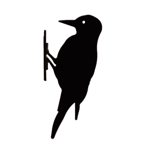 Silhouet Bonte Specht