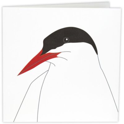 Kaart Noordse Stern (10 stuks)