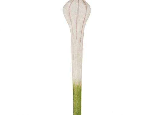DecoPen Knoflook