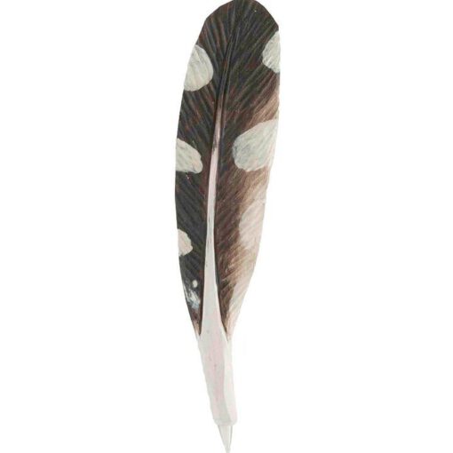 Houten pen Specht-veer