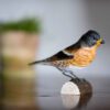 DecoBird Bergvink - Afbeelding 2