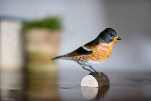DecoBird Bergvink - Afbeelding 2