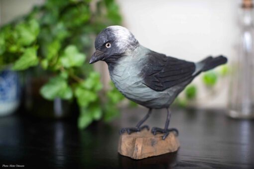 DecoBird Kauw - Afbeelding 2