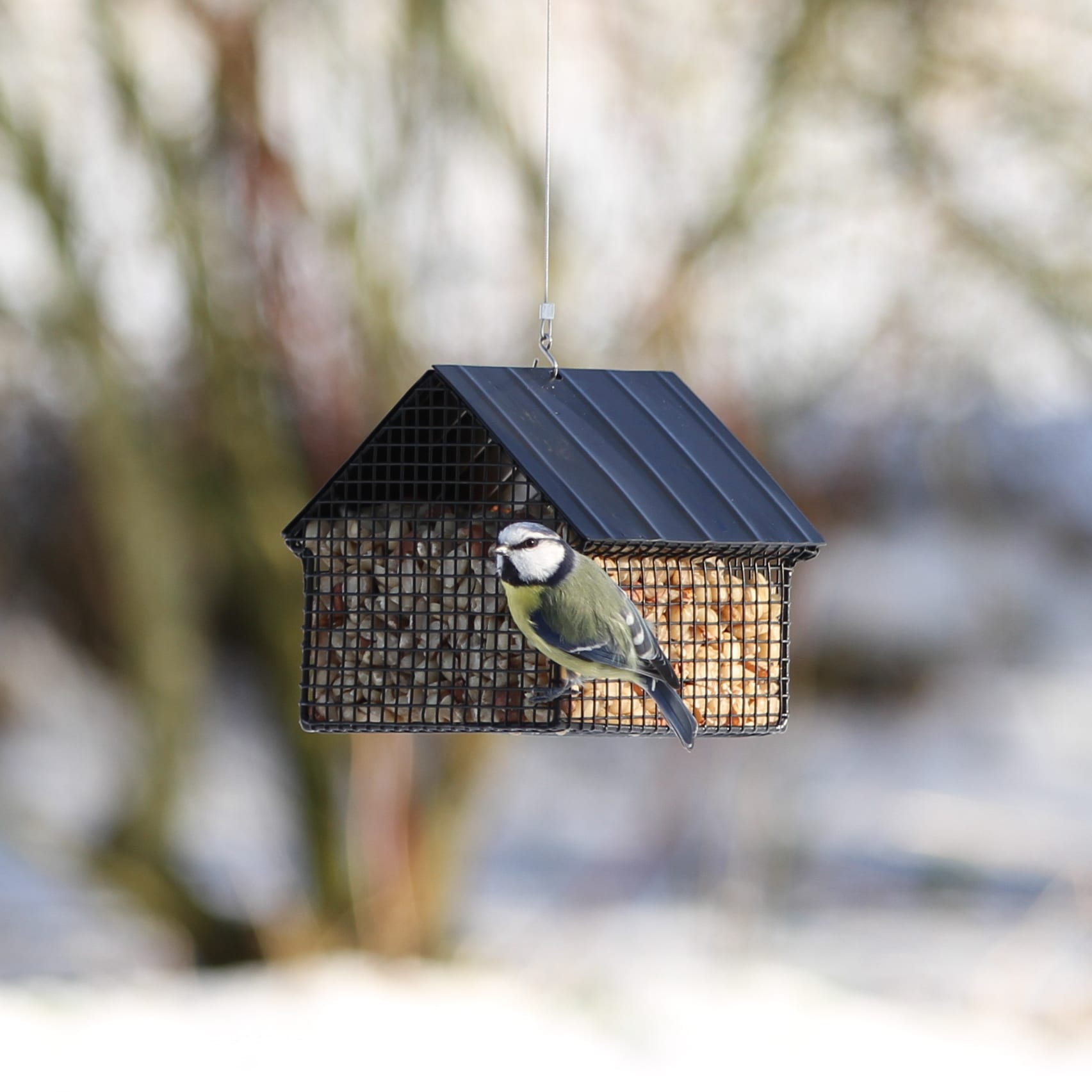 Zwart voederhuisje voor pinda's - Afbeelding 3