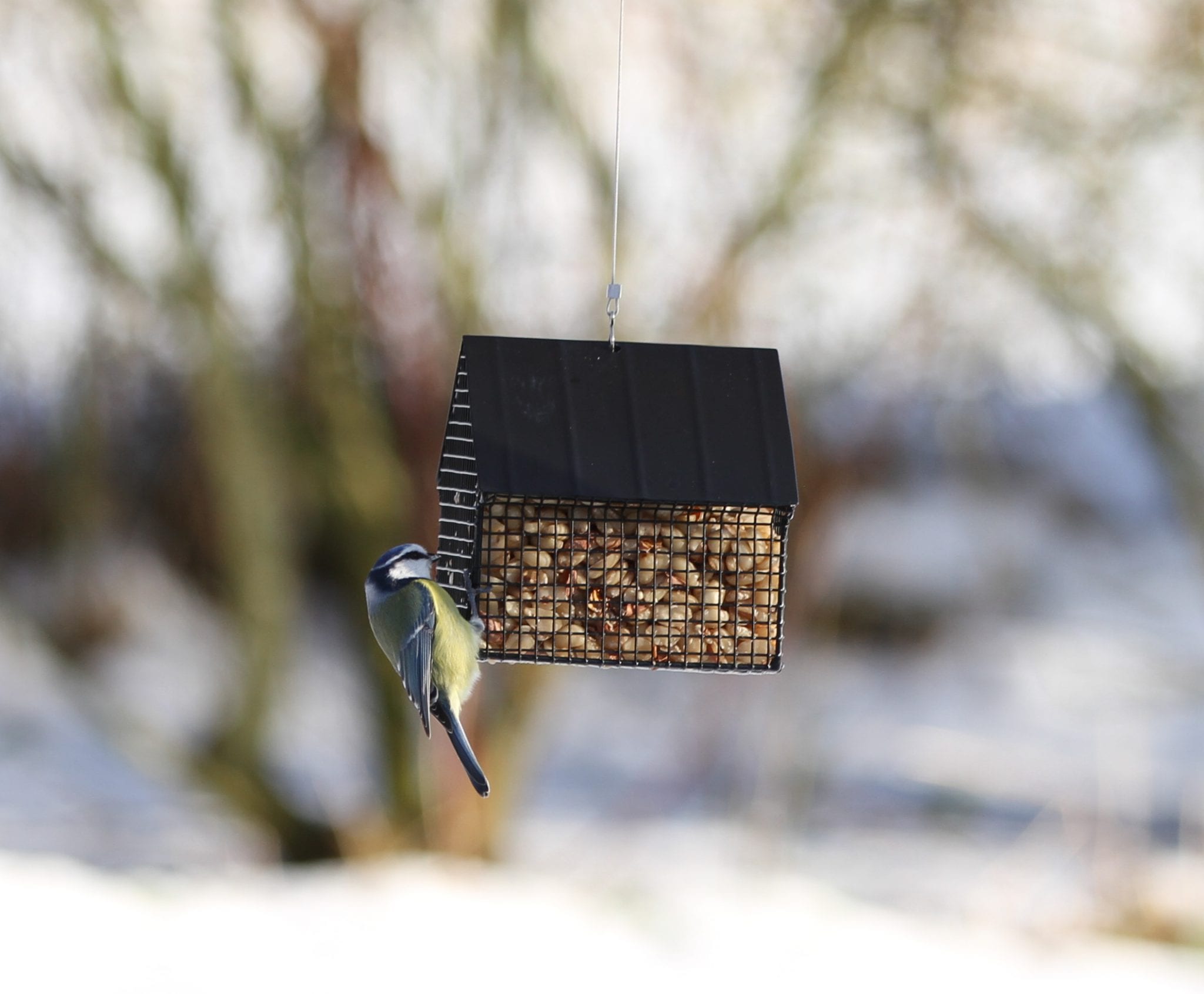 Zwart voederhuisje voor pinda's - Afbeelding 4