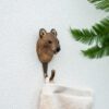 Kledinghaak Wallaby - Afbeelding 2